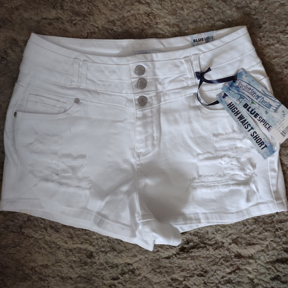 Blue Spice Jean Shorts